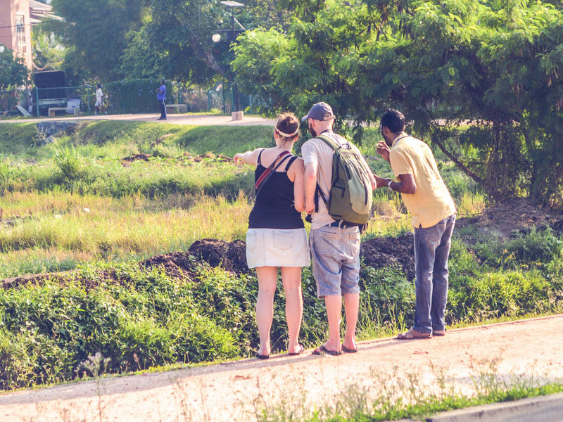 my wild city colombo ceylon rustic guide