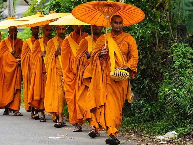 Tour Guide Sri Lanka