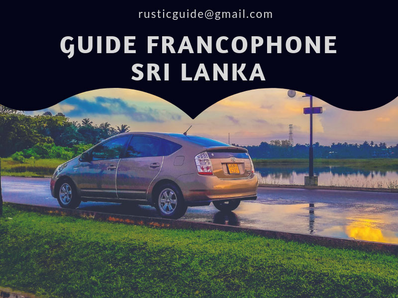 chauffeur guide francophone sri lanka