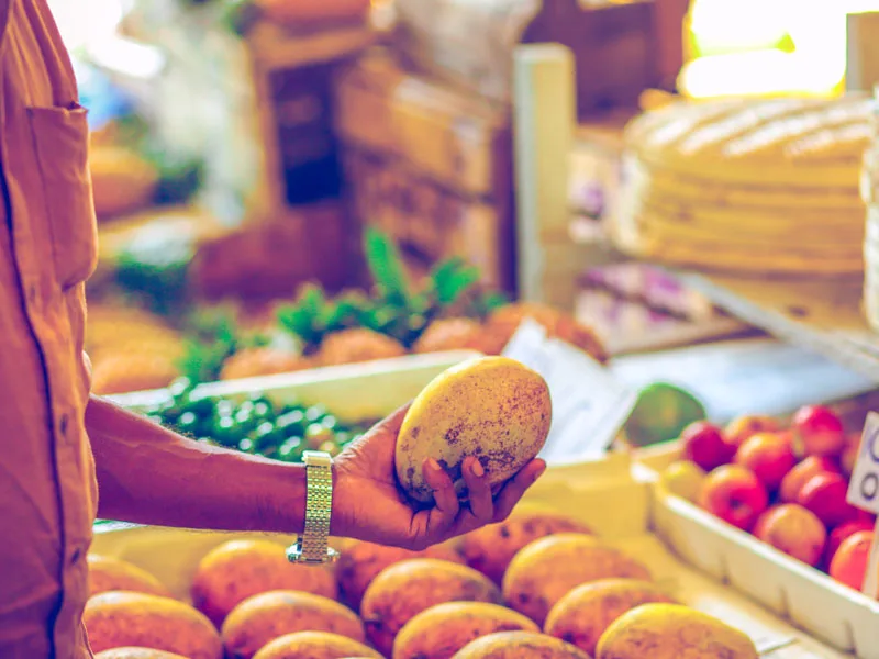 vegan food tour Colombo