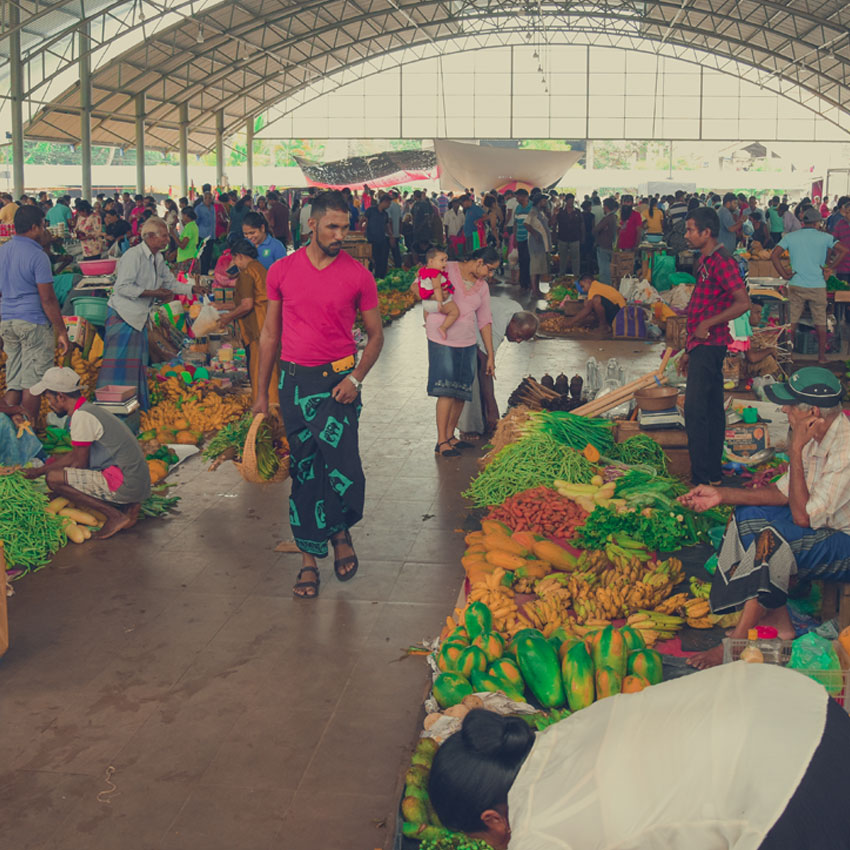 market tour in Sri Lanka, traditional dressed tour guide is walking in the market