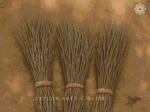 Bola Attha, Bolattha, Bolatta