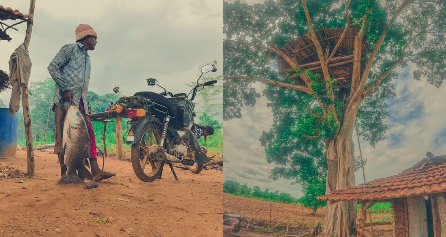 Farm-to-table tour in rural Sri Lanka showcasing traditional farming and local life